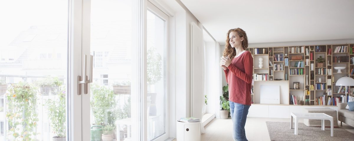 dual-pane windows and noise reduction